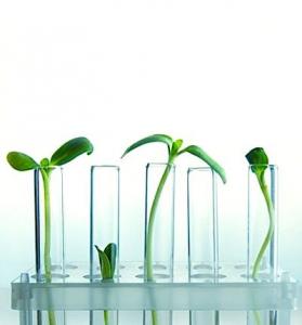 식물 줄기 세포 스킨 케어 제품