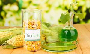 Biofuels Biodiesel Market