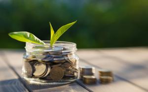 glass jar with coins and a fresh green sprout. Growth in revenue and business development