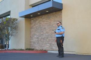 security guards for malls -