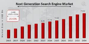 Next Generation Search Engine Market Size