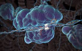 게놈 엔지니어링