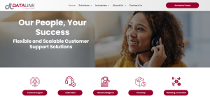 Screenshot of the new Datalink website homepage.