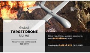 Target Drone Market, 2025