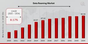 Data Roaming Market Growth