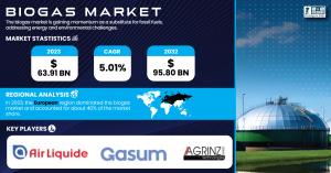 Biogas Market