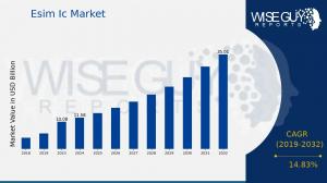 Esim Ic Market Growth