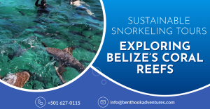 Sustainable Snorkeling Tours Exploring Belize’s Coral Reefs