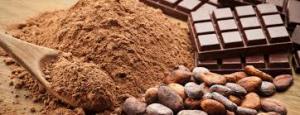 Cocoa Seed Extract Market