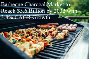 Barbecue Charcoal Market Wiseguy