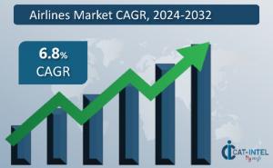 Category Intelligence Airlines Market Outlook