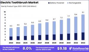 Electric Toothbrush Market Growth Analysis