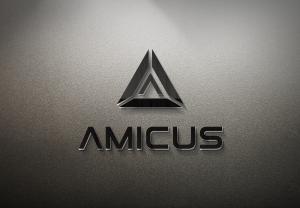 Amicus International Consulting