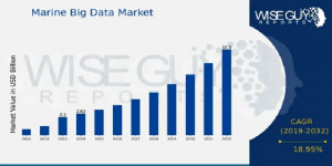 Marine Big Data Market Size