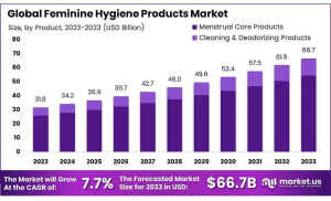 Feminine Hygiene Products Market size