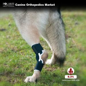 Canine Orthopedics Market