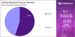 Medical Tourism Market Share