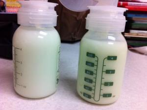 Human Milk Bank Management