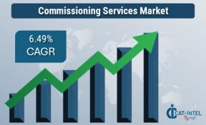 Category Intelligence for Commissioning Services Market