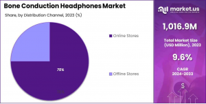 Bone Conduction Headphones Market Distribution Channel Analysis