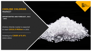 Choline Chloride Market