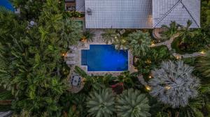 Aerial Showing The Lush Landscape of 615 Idlewyld Drive