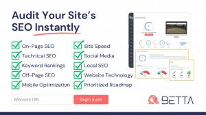 Audit Your Site’s SEO Instantly