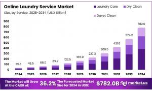 Online Laundry Service Market