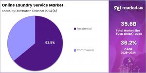 Online Laundry Service Market share