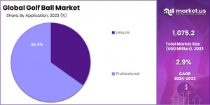 Golf Ball Market Application Analysis