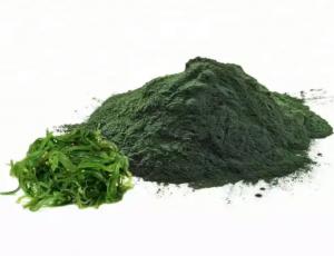 Chlorella Extract Market