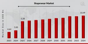  Shapewear Market Overview