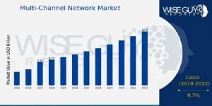 Multi-Channel Network Market size