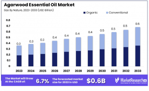 Agarwood Essential Oil Market Size