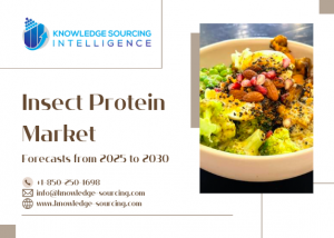 Insect Protein Market