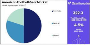 American Football Gear Market Share