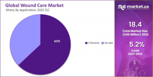 Wound Care Market Share.png