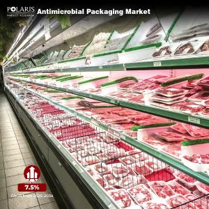 Antimicrobial Packaging Market