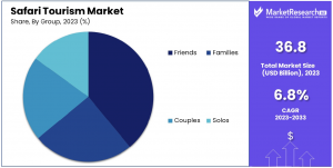 Safari Tourism Market Share