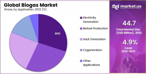 biogas-market-by-application