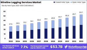 Wireline Logging Services Market Size