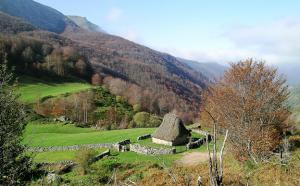 wildlife and birding in Cantabria