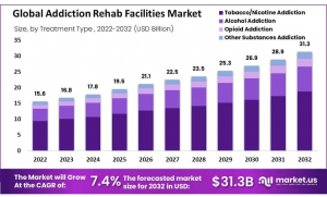 Addiction Rehab Facilities Market Size