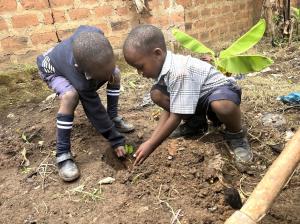 Ugandan boys gardening