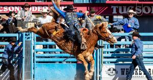 Statler Wright riding Saddle Bronc at the 2024 Tucson Rodeo