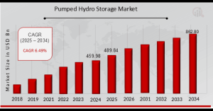 Pumped Hydro Storage Market