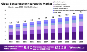 Sensorimotor Neuropathy Market Size