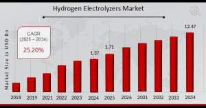 Hydrogen Electrolyzers Market Overview