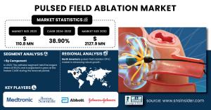 Pulsed Field Ablation Market