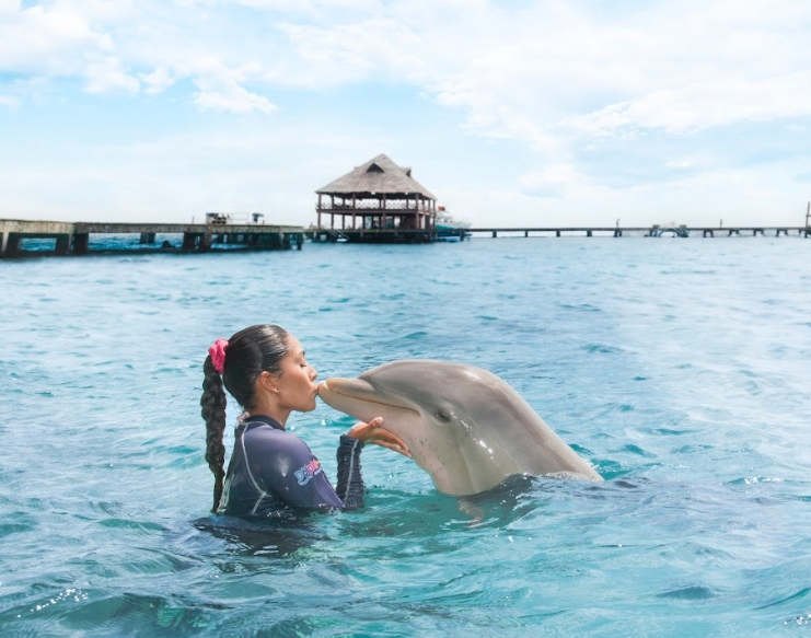 Chica nadando con delfín en isla mujeres